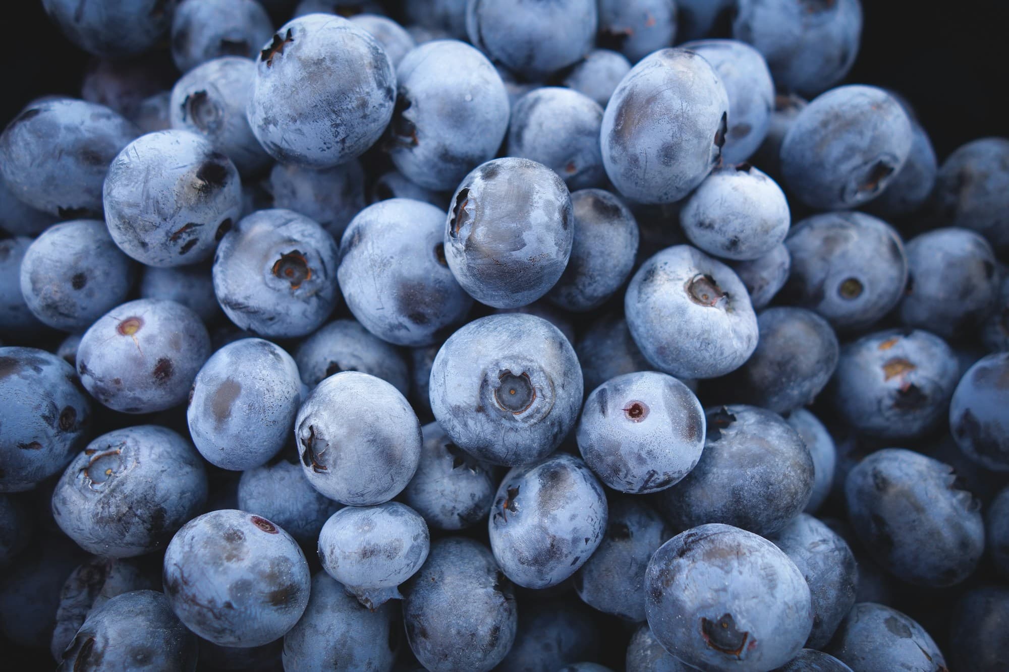Bluberry